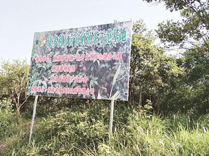 银河集团(galaxy)官方网站-Mobile Application Center