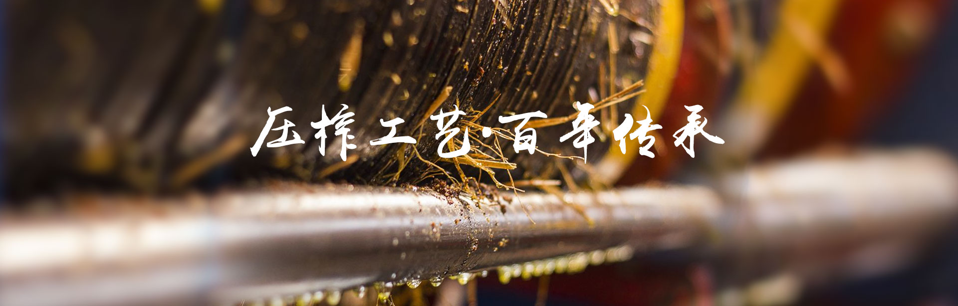 银河集团官网_油茶莳植生产加工销售|植物油莳植生产加工销售