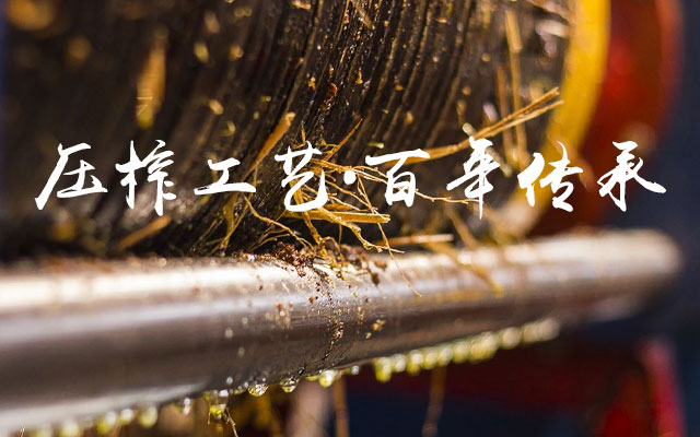 银河集团官网_油茶莳植生产加工销售|植物油莳植生产加工销售