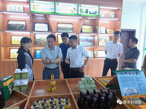 银河集团官网,油茶莳植生产加工销售,植物油莳植生产加工销售